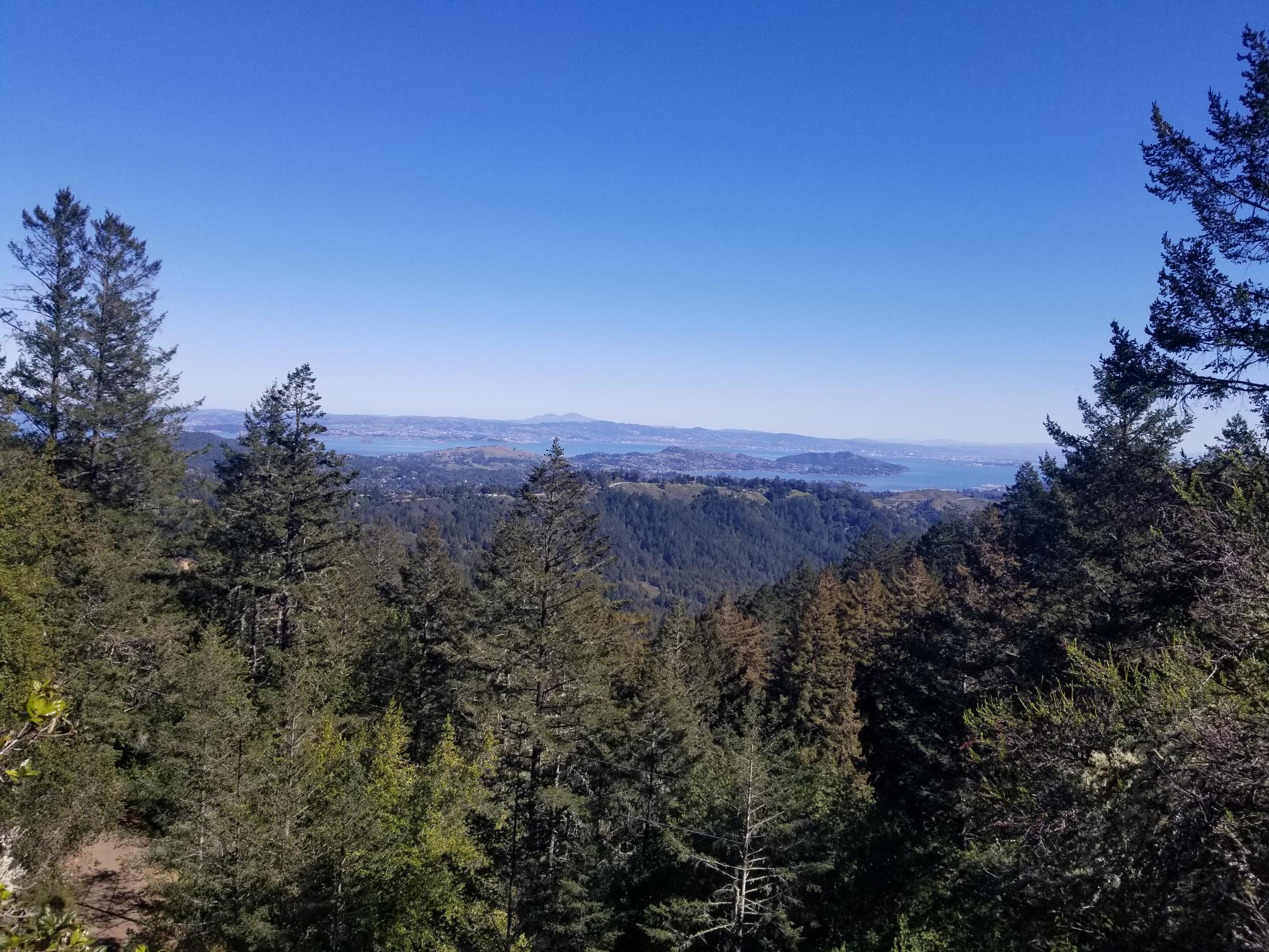 View from pullout